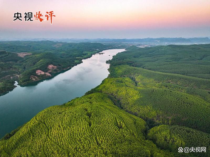 文章附图